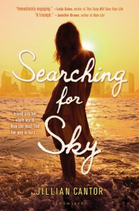 searching for sky